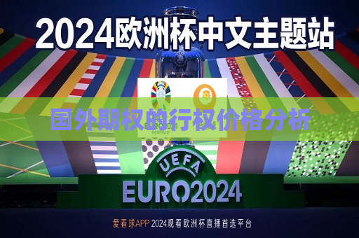 国外期权的行权价格分析