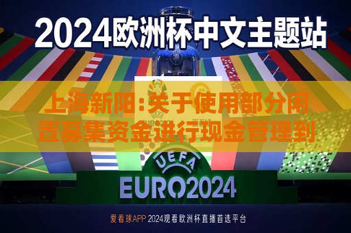 上海新阳:关于使用部分闲置募集资金进行现金管理到期赎回的公告