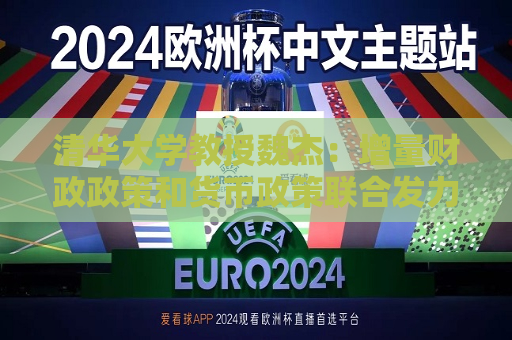 清华大学教授魏杰：增量财政政策和货币政策联合发力，明年初将见效