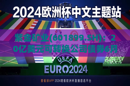 紫金矿业(601899.SH)：20亿美元可转换公司债券6月26日在香港联交所上市