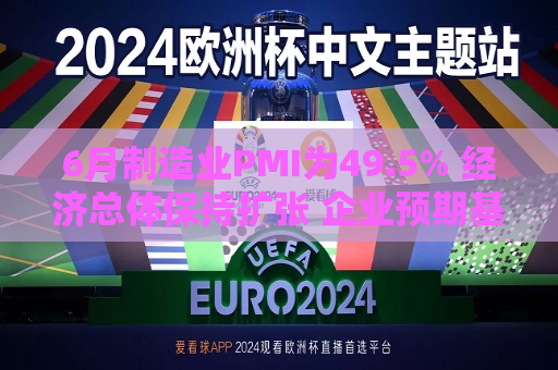 6月制造业PMI为49.5% 经济总体保持扩张 企业预期基本稳定