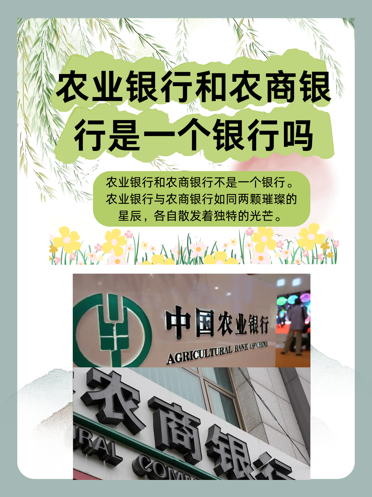 华夏vs农商行(农商银行和华商银行一样吗)