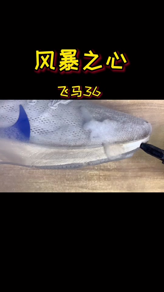 飞马vs风暴(飞马vs狂热预测)