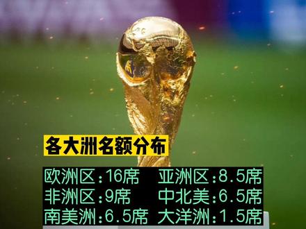 足球世界杯各大洲名额(足球世界杯各大洲名额分配)